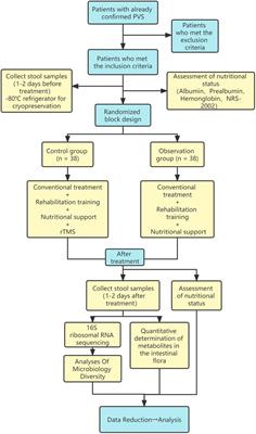 Effects of high-frequency repetitive transcranial magnetic stimulation on the nutritional status of patients in a persistent vegetative state: A pilot study